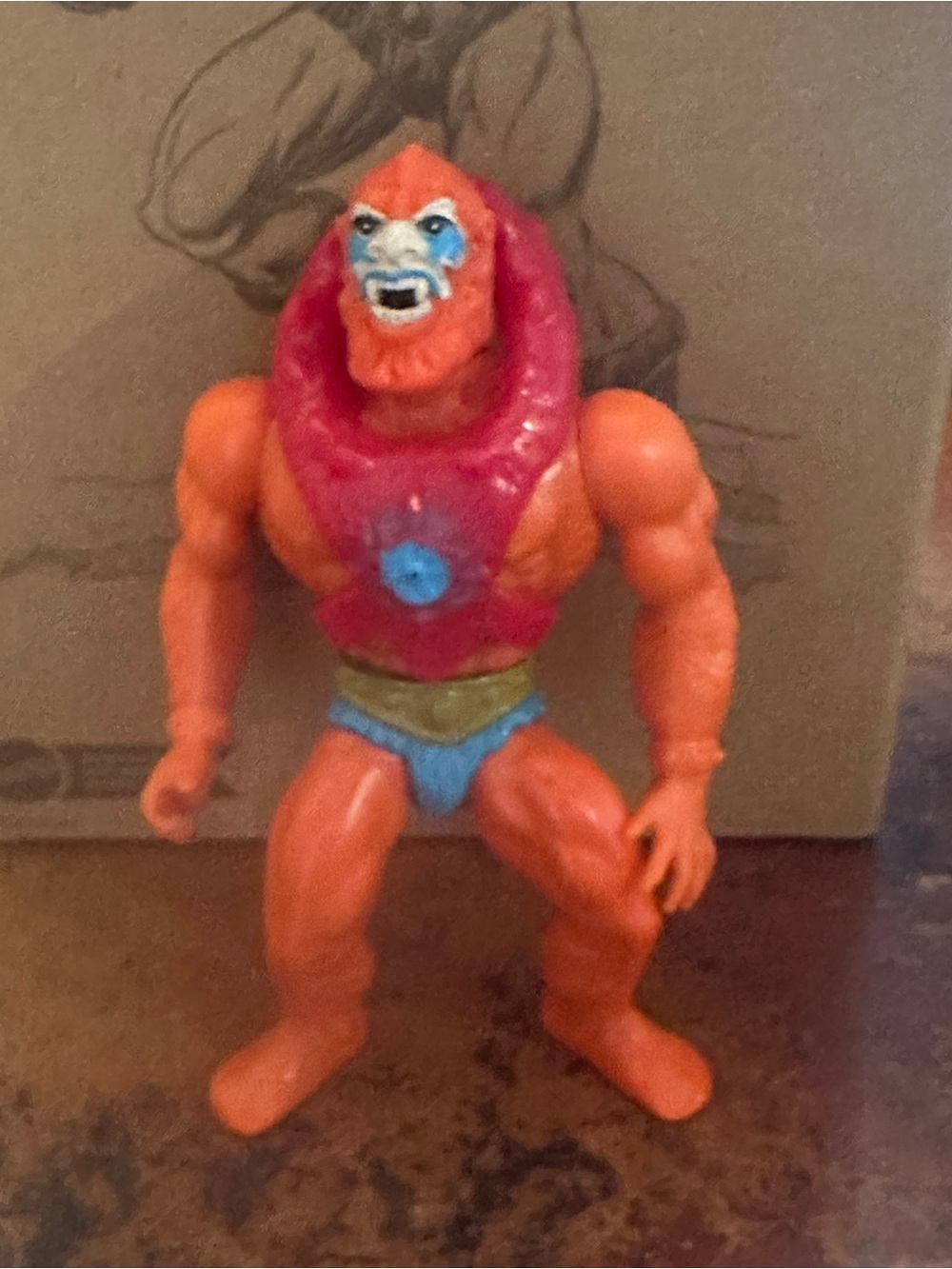 Motu - Picture 5 of 11